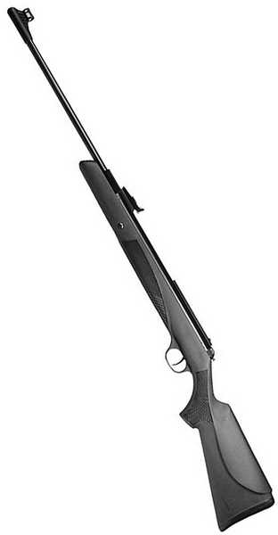 06-16-11-01-RWS-Diana-34P-breakbarrel-air-rifle