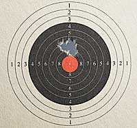 07-29-11-07-Diana-model-60-recoilless-breakbarrel-target-air-rifle-JSB-Exact-domed-pellet-target