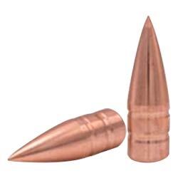 Reloading Bullet