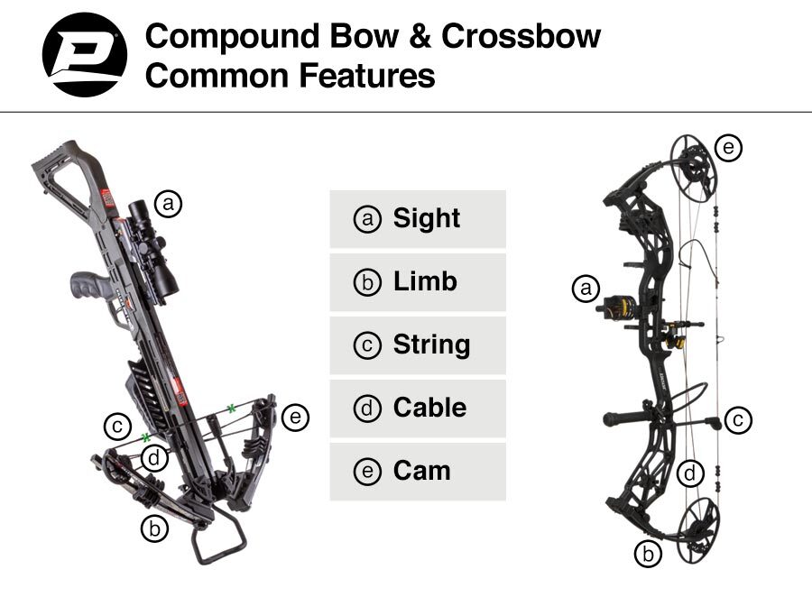 Chart illustrating the structural similarities between a crossbow vd compound bow