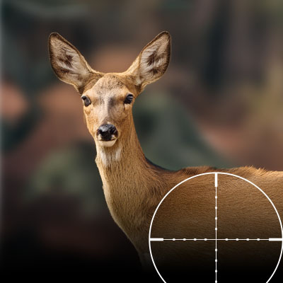 Ballista Bat Reverse compound crossbow hunting capacity includes deer deer behind crosshairs
