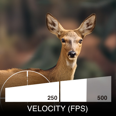 Killer Instinct Fatal X velocity meter 405 FPS