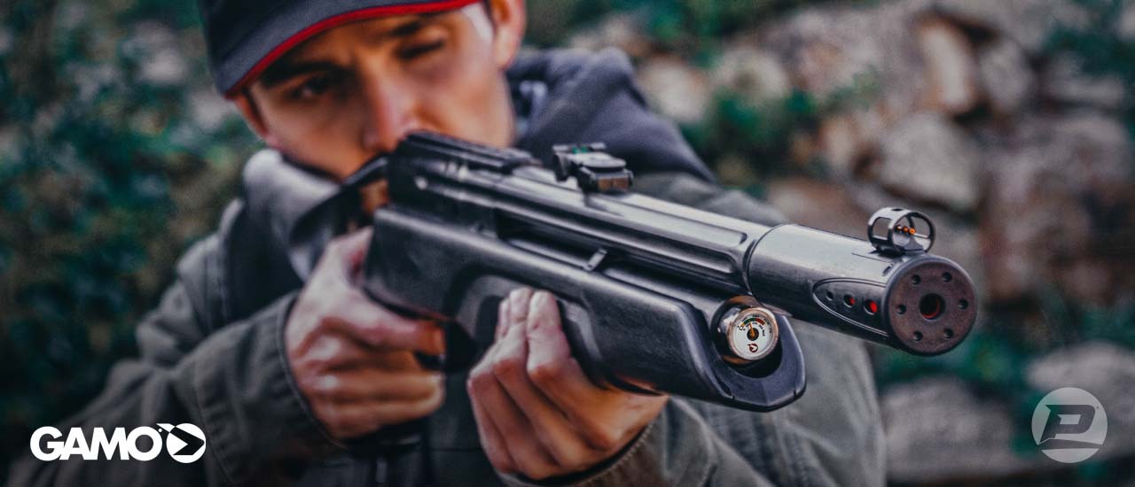 Gamo Arrow PCP air rifle