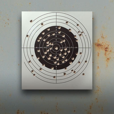 Crosman C11 is great for target practice perforated target