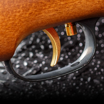 Beeman R9 trigger closeup