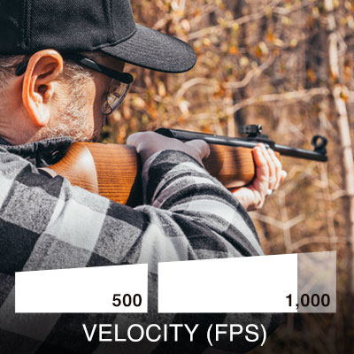 Beeman R9 velocity 935 fps