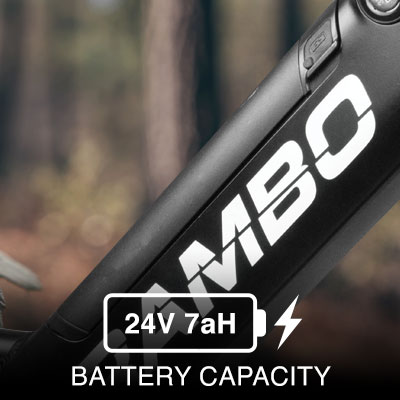 Lil Whip battery is inside frame for safety and durability