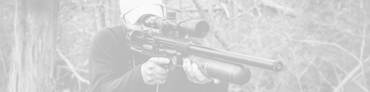 FX Airguns