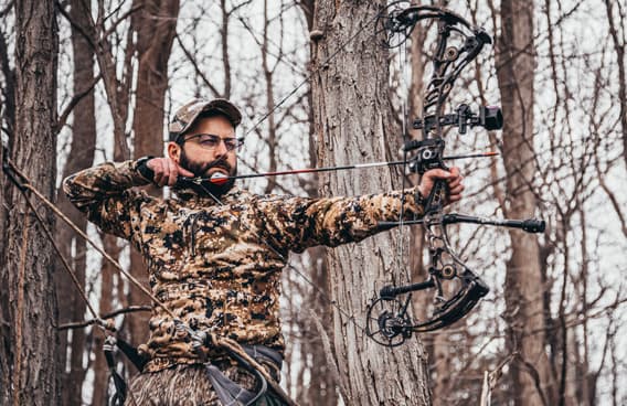 Compound Bows