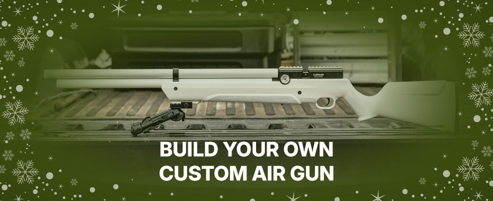 Build a Custom Gun