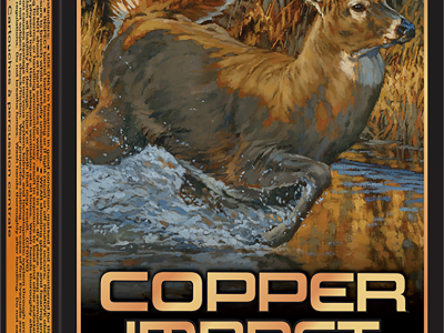Winchester X350CLF Copper Impact 350 Legend 150gr Copper Extreme Point Lead Free, .350 Legend, 20