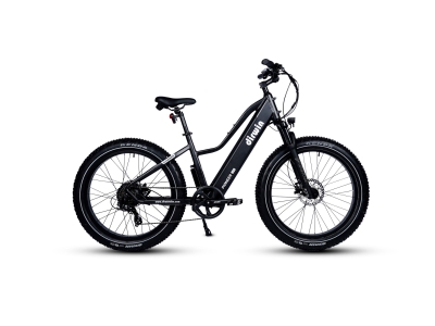 Dirwin Pioneer Lite Fat Tire Electric Bike