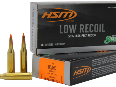 HSM Low Recoil 85 gr Orange Polymer Tip, .243 Winchester, 20