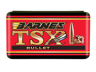 Barnes TSX 45-70Gov, 20