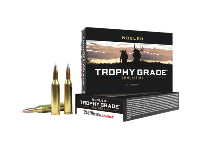 Nosler Trophy Grade, .243 Winchester, 20