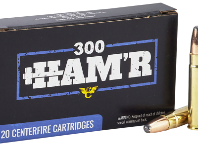 Wilson Combat HAM'R Hot-Core, .300 HAMR, 20
