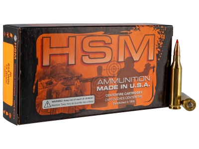 HSM Varmint 243 Win 75 gr Hornady V Max, .243 Winchester, 20