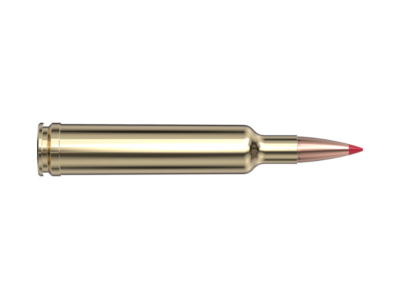 Hornady Precision Hunter, .257 Weatherby Magnum, 20