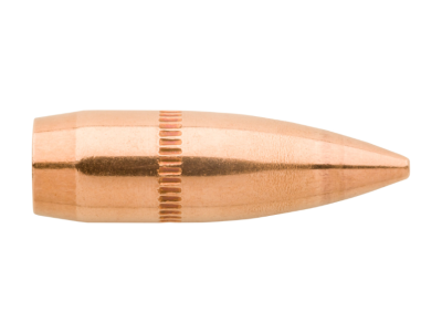Sierra GameKing 22Cal, 100