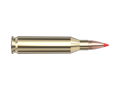 Hornady Superformance Varmint, .243 Winchester, 20