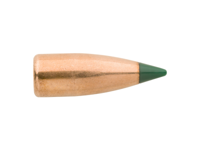 Sierra BlitzKing 22Cal, 100