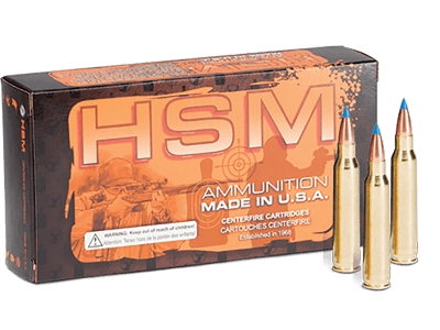 HSM Varmint .204 Ruger 32 Grain Sierra Blitzking Brass Cased