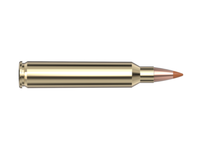 Hornady Superformance Varmint, .204 Ruger