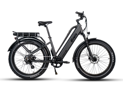 Dirwin Pioneer Plus ST Fat tire E-Bike