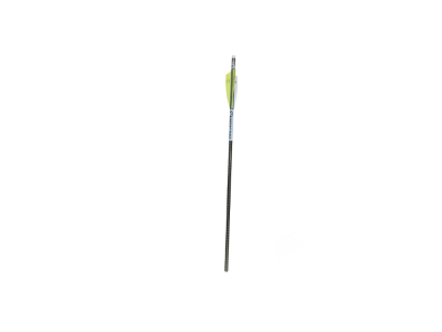 TenPoint Centerpunch EVO-X Crossbow Bolts, Black, 6