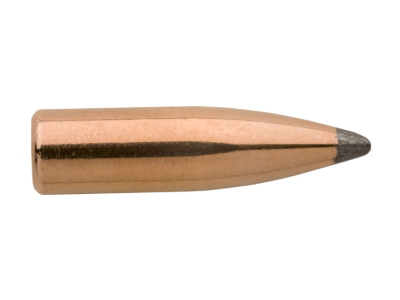 Sierra Pro-Hunter 270Win, 100
