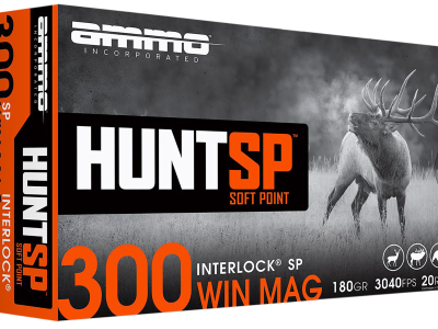 Ammo Hunt 300 Win 180gr Soft Point, .300 Winchester Magnum, 20
