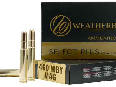 Weatherby Select Plus, .460 Weatherby Magnum, 20