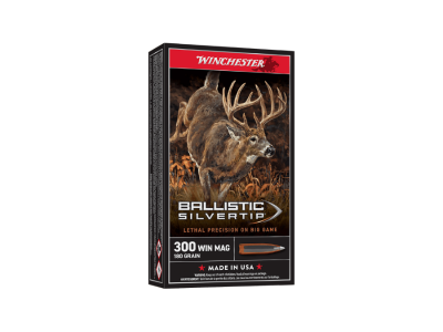 Winchester Ballistic Silvertip 300WinMag 180gr, .300 Winchester Magnum, 20