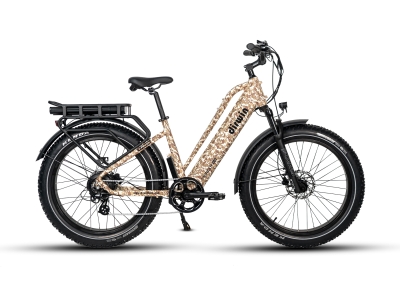 Dirwin Pioneer Plus ST Fat tire E-Bike
