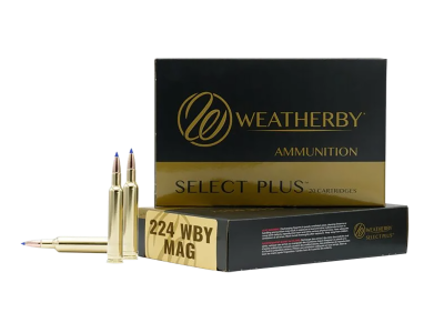 Weatherby Select Plus, .224 Weatherby Magnum, 20