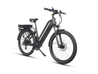Dirwin Pacer Plus ST Commuter E-Bike