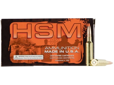 HSM Tipping Point 2 Super Shock Tip 300 Win Mag 165 gr Hornady SST, .300 Winchester Magnum, 20