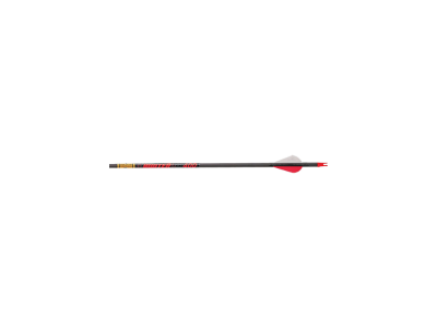 Gold Tip Hunter Arrows, 12