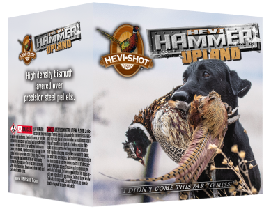 Hevi-Shot Hammer Upland Shotgun Ammunition, 20 Gauge, 25