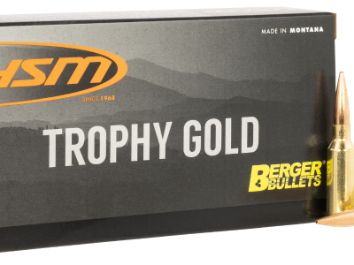 HSM Trophy Gold Extended Range 6mm ARC 95 gr, 20