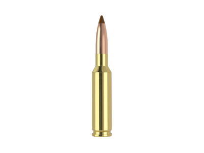 Nosler Ballistic Tip, 6.5x55mm Swedish, 20
