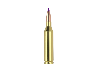 Nosler Ballistic Tip, .243 Winchester, 20
