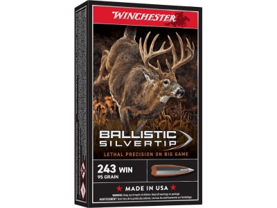 Winchester Ballistic Silvertip 243 Win 95gr, .243 Winchester, 20