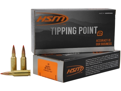 HSM Tipping Point Super Shock Tip 6mm ARC 95 gr, 20