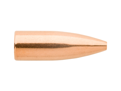 Sierra MatchKing 22Cal, 100