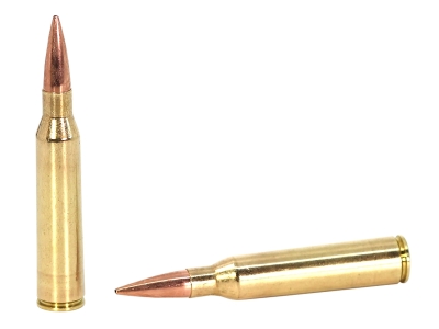 Sako MatchKing, .338 Lapua Magnum, 10