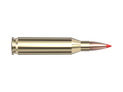 Hornady Custom, .243 Winchester, 20