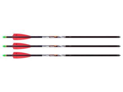 Wicked Ridge Lighted XX75 20" Arrows, 3 Pack