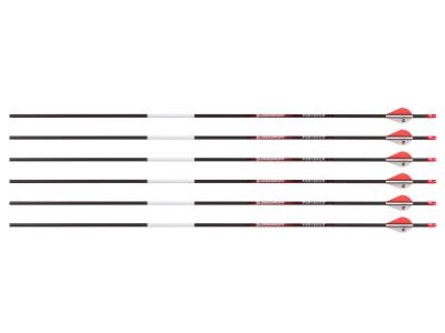 Bloodsport Punisher Arrow, 500 Spine, 6 Pack