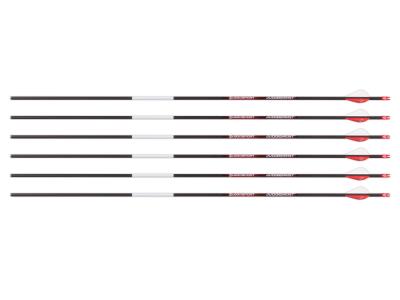 Bloodsport Judgement Arrow, 400 Spine, 6 Pack